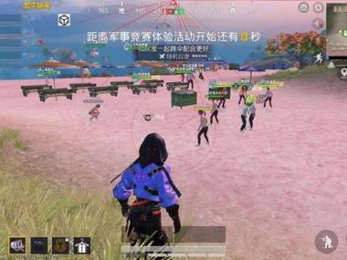 外挂和平精英吓人